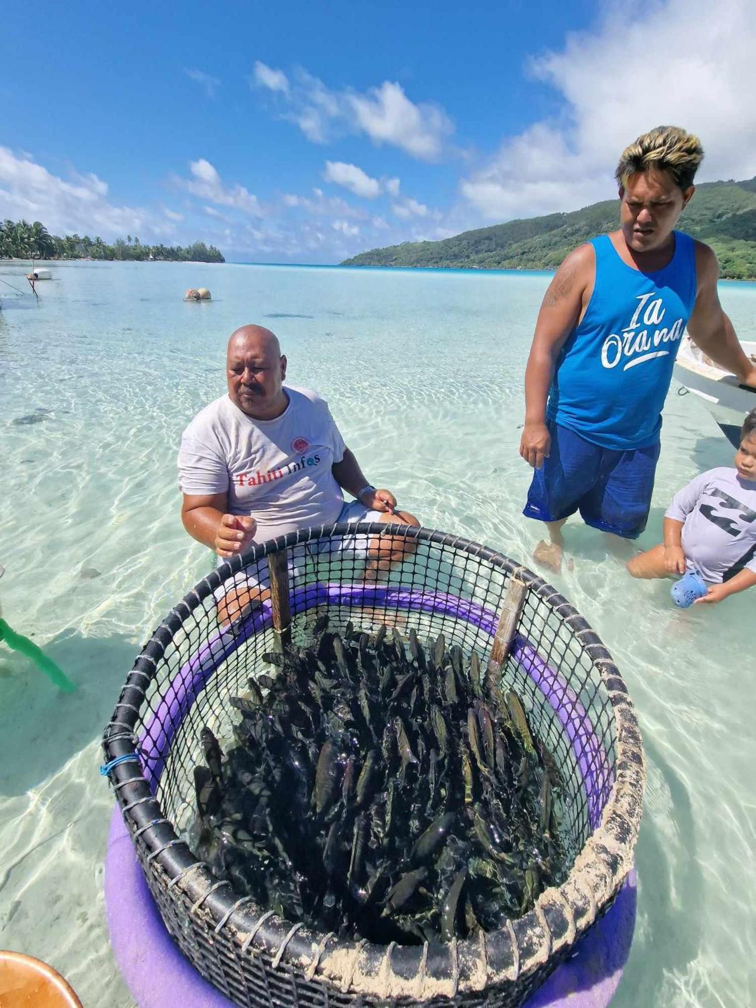 Mahana Tua Lodge Huahine Фар Экстерьер фото