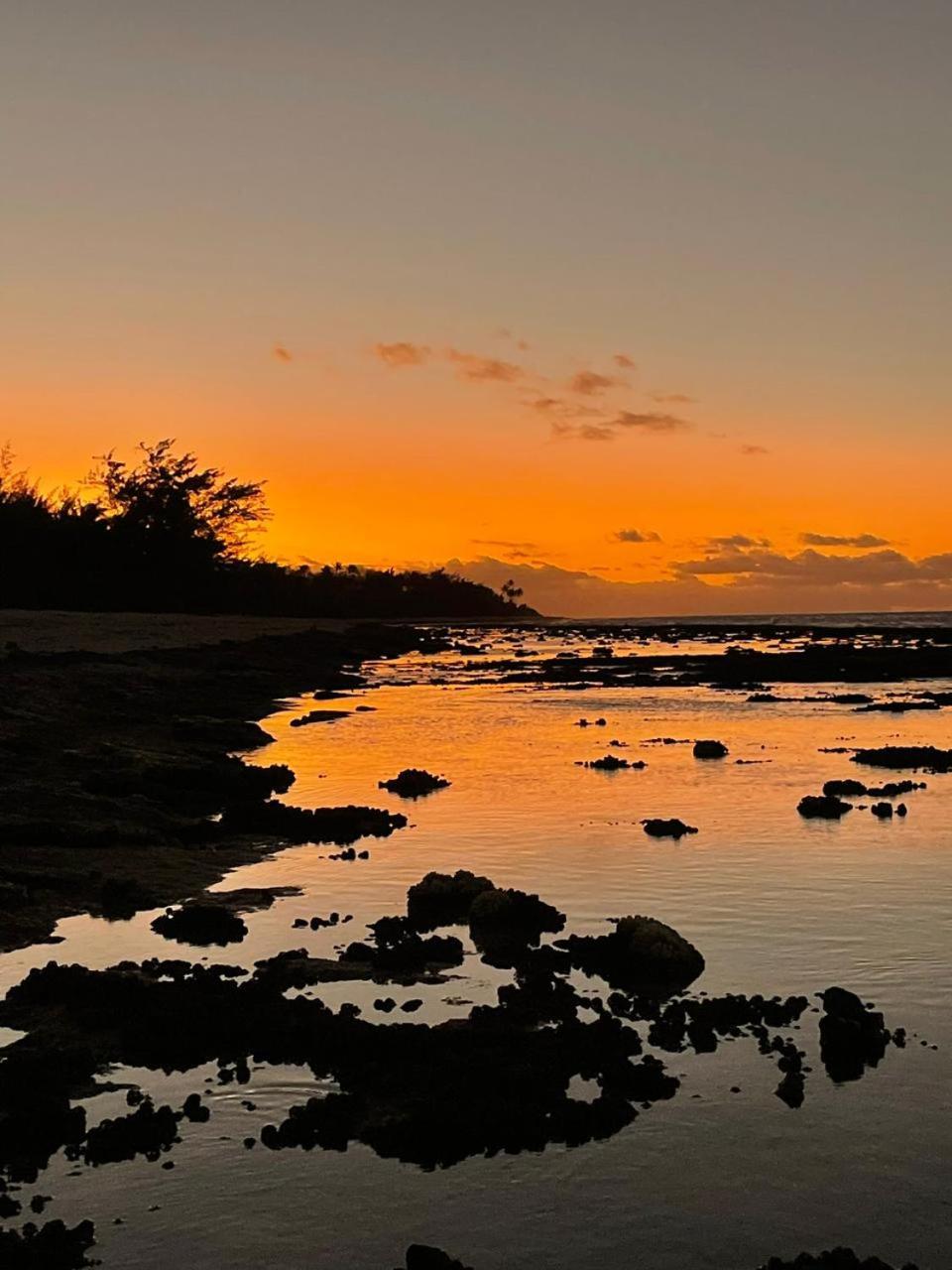 Mahana Tua Lodge Huahine Фар Экстерьер фото
